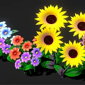 Vibrant Mixed Color Flowers Including Sunflowers Purple Blue Pink Blooms Arranged Against Black Background