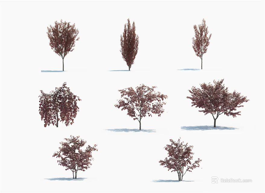 Different Varieties Of Arbor Trees With Purple Red Foliage And Various Shapes 3d model 