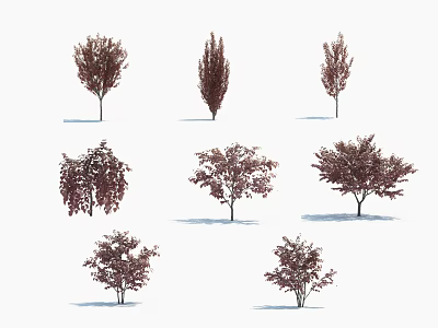 Different Varieties Of Arbor Trees With Purple Red Foliage And Various Shapes 3d model