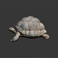 Artistic Turtle Sculpture With Patterned Shell Blue Pink Tones On Dark Background