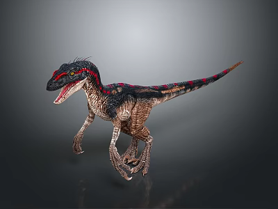 Realistic Velociraptor Dinosaur Model With Black Red Patterned Skin In Running Stance 3d model