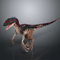 Realistic Velociraptor Dinosaur Model With Black Red Patterned Skin In Running Stance