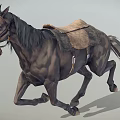 Detailed Black Horse Galloping With Saddle And Bridle In Motion