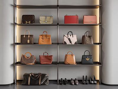Luxury Stylish Handbags Display On Lighted Shelves With Various Colors And Shoes 3d model