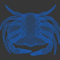 Red Aquatic Crab With Textured Shell And Extended Claws On Gray Surface