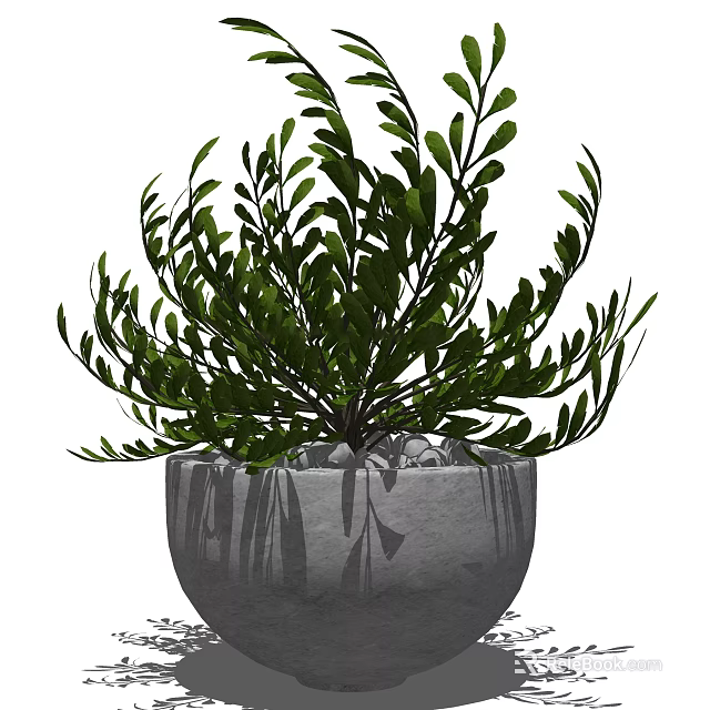 Lush Green Bonsai Potted Plant in Gray Textured Pot with Small Stones 3d model 