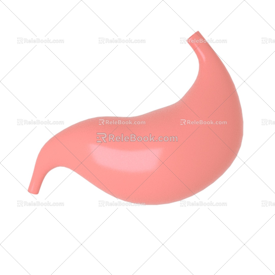 gastric organ viscera 3d model