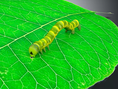 Yellow and green striped caterpillar crawling on a green leaf with visible leaf veins 3d model