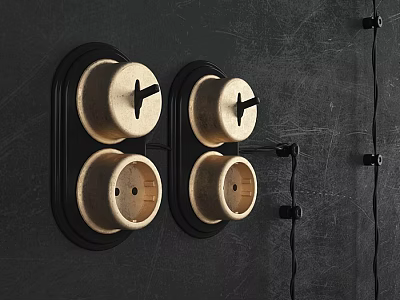 Black Border Switch Panels With Two Beige Round Switches Each On Dark Wall 3d model