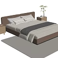 Double Bed with Brown Headboard White Sheets Gray Blanket Light Rug and Nightstands Green Plant