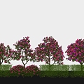 Plant group camellia tree modeling flowering tree shrub hedge 3d model