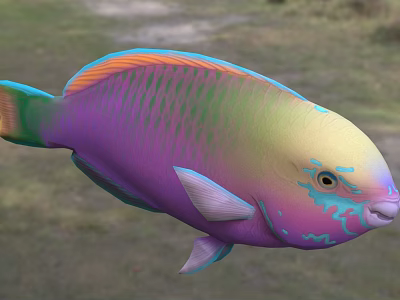 Vibrant Tropical Aquatic Fish Displaying Colorful Scales And Bright Hues 3d model