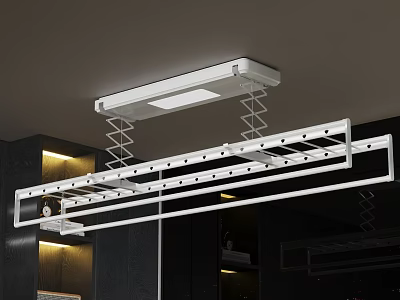 Smart Clothes Drying Rack With Motorized Ceiling Mount And Automatic Lighting 3d model