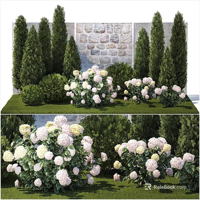 Beautiful Colorful Hydrangeas With White And Pink Blooms Surrounded By Green Trees And Stone Wall 3d model 