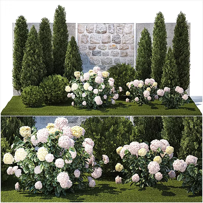Modern Hydrangea Outdoor Flower 3d model Modern Hydrangea Outdoor Flower 3d model
