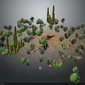Desert Cacti and Green Succulent Plants in Arid Sandy Landscape with Spiky Foliage