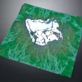 Snow Covered Central Terrain Surrounded by Lush Green Vegetation and River Like Textures