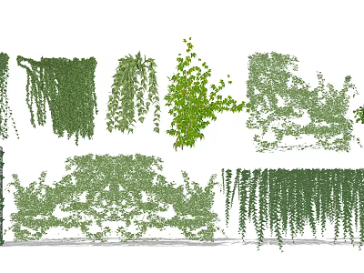 Various Types of Decorative Vines with Hanging and Climbing Green Leaves for Decoration 3d model