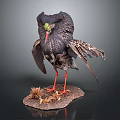 Lifelike Taxidermy Black Feathered Bird With Red Legs On Hay Base
