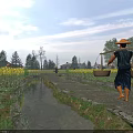 Traditional Garden Landscape With Stream Stone Path Lush Green Plants And Yellow Flower Fields