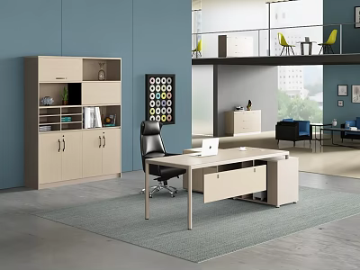 Modern Office Desk With Black Chair Cabinet And Gray Rug In Open Workspace 3d model