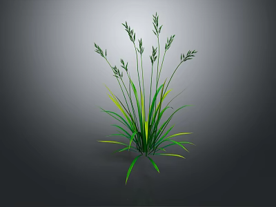 Lush Green Grass With Slender Stems And Leaves Featuring Yellow Stripes On Gray Background 3d model