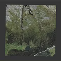 Mountainous Terrain With Lush Green Vegetation Forested Slopes And Scenic Valley Lake