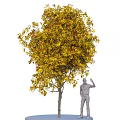 Tree 3d model
