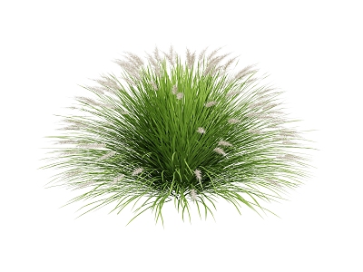 grass and flowers model