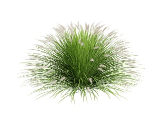 grass and flowers 3d model