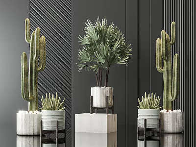 Potted Bonsai Cactus And Palm Like Plants In White Pots With Geometric Bases Dark Striped Decor 3d model