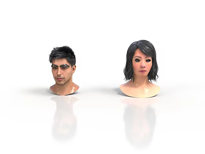 Male 3D Head Model With Female Counterpart On White Background And Reflection 3d model