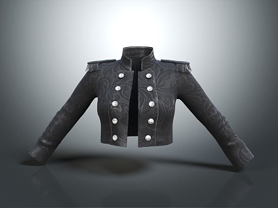 Modern Jacket Anti-Jacket Anti-Top 3d model