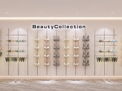 Modern Underwear Display Cabinet Clothing Bra Panties Model 3d model