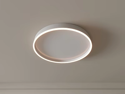 Modern Round White Flush Mount Ceiling Light with Circular Glow Strip Design 3d model