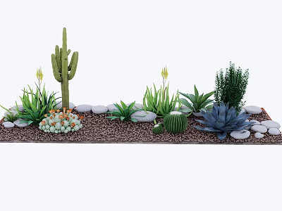 Potted Succulent and Cactus Plants with Decorative Stones on Gravel Ground 3d model