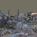Natural Wood and Stone Scene with Dead Tree Trunks Moss Gravel and Grass