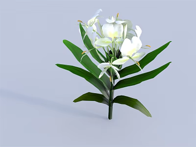 White Flower Bouquet With Green Leaves And Fresh Petals 3d model