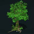 Cartoon Scene Of Lush Green Tree With Thick Trunk Small Plants And Stones At Roots