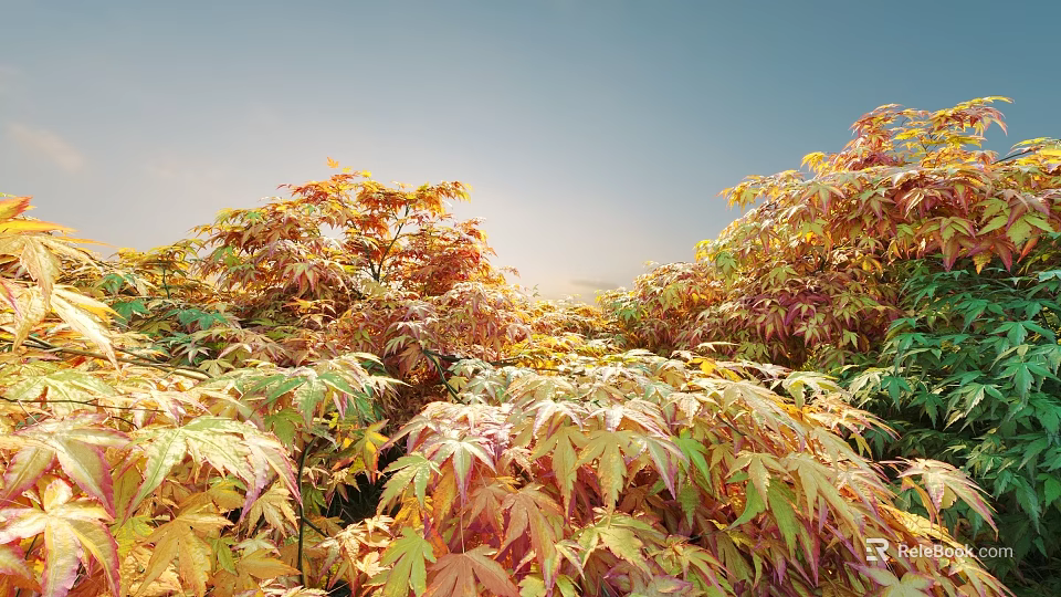 Vibrant Foliage Shrubs in Garden with Red Yellow Green Leaves and Sunlight 3d model 