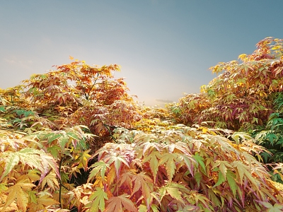 Flowers and Plants Combination Landscape Shrubs Plant Combination Natural Landscape 3d model