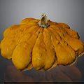 Orange Flower Shaped Pumpkin with Textured Surface on Black Background and Reflection