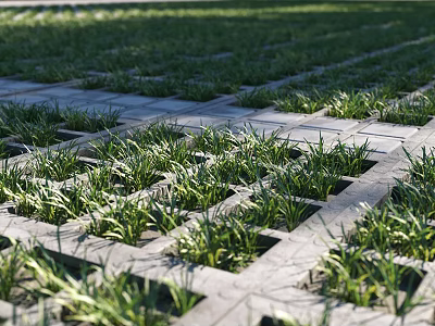 Green Eco Friendly Parking Lot With Neatly Arranged Grass Pavers And Growing Grass 3d model