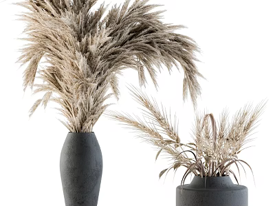 Natural Dried Plant Decorative Arrangement with Pampas Grass and Wheat in Gray Vases 3d model