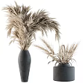 Natural Dried Plant Decorative Arrangement with Pampas Grass and Wheat in Gray Vases