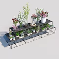 Bonsai Potted Plants Displayed On Black Metal Shelf With Various Greenery