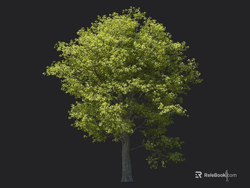 Lush Green Arbor With Dense Foliage And Straight Strong Trunk 3d model 