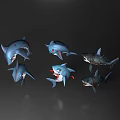 Realistic 3D Aquatic Animal Shark Models in Different Poses and Expressions
