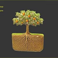 Decorative Potted Tree With Green Leaves Red Fruits And Visible Roots In Square Transparent Container