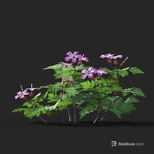 Vibrant Multi Branched Plant With Purple Flowers Green Leaves In Full Bloom 3d model 